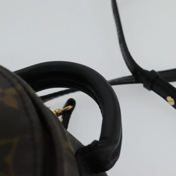 LOUIS VUITTON Monogram World Tour Palm Springs Shoulder Bag M42971 - Picture 8 of 16